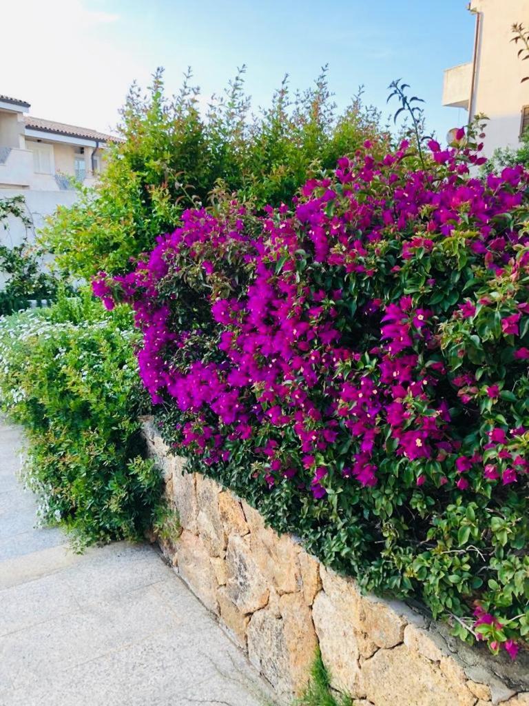 Lotus Wellness Apartment - Resort Ginestre - Palau - Sardinia Luaran gambar